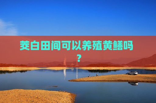 茭白田间可以养殖黄鳝吗 ？