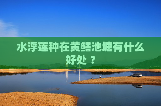 水浮莲种在黄鳝池塘有什么好处 ?