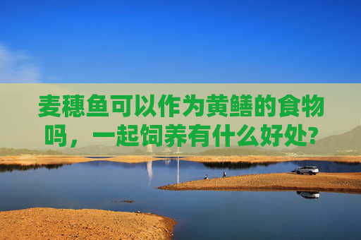 麦穗鱼可以作为黄鳝的食物吗，一起饲养有什么好处?