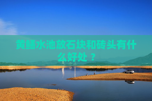 黄鳝水池放石块和砖头有什么好处 ？