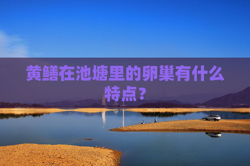 黄鳝在池塘里的卵巢有什么特点？
