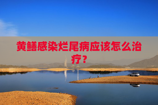 黄鳝感染烂尾病应该怎么治疗？