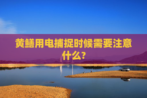 黄鳝用电捕捉时候需要注意什么?