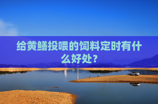 给黄鳝投喂的饲料定时有什么好处？