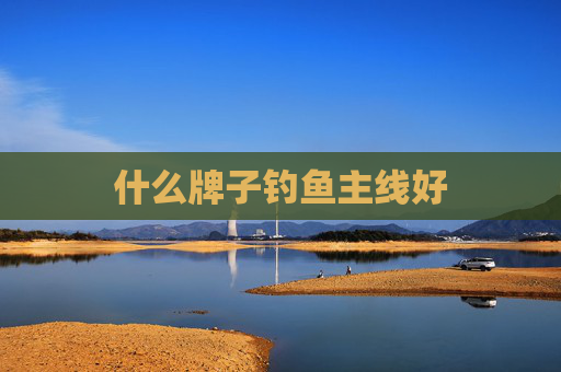 什么牌子钓鱼主线好