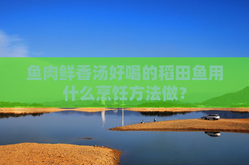 鱼肉鲜香汤好喝的稻田鱼用什么烹饪方法做？