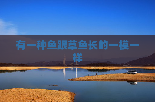 有一种鱼跟草鱼长的一模一样