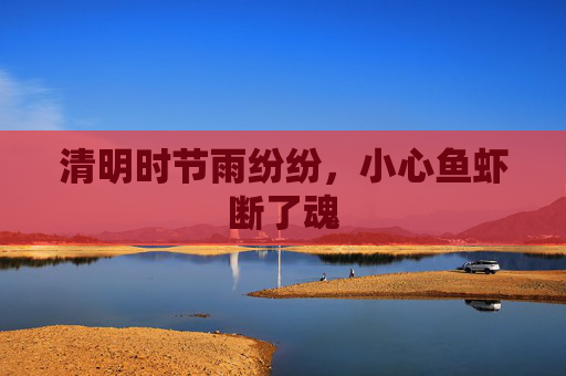 清明时节雨纷纷，小心鱼虾断了魂