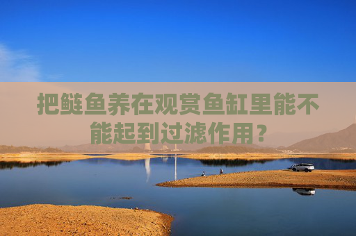 把鲢鱼养在观赏鱼缸里能不能起到过滤作用？