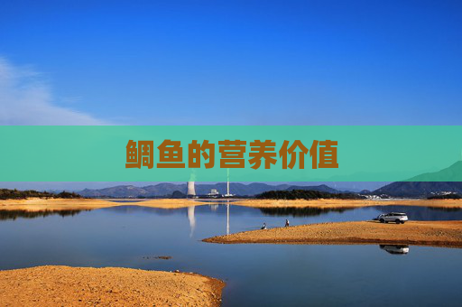 鲷鱼的营养价值