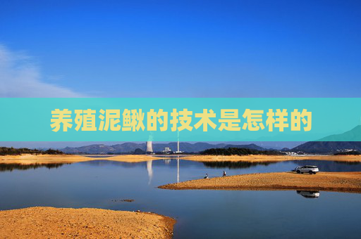 养殖泥鳅的技术是怎样的