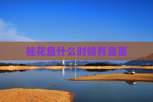 桂花鱼什么时候有鱼苗