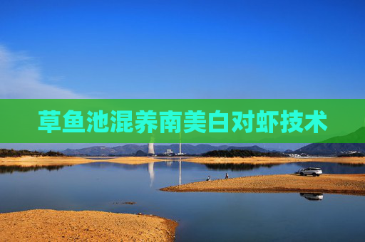 草鱼池混养南美白对虾技术