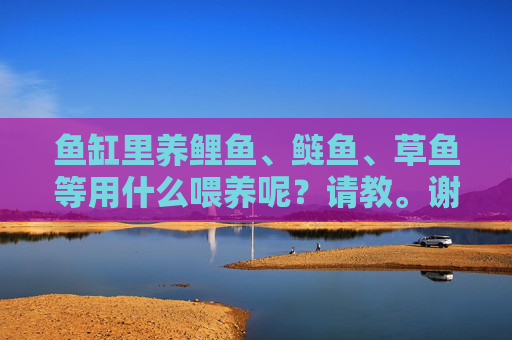 鱼缸里养鲤鱼、鲢鱼、草鱼等用什么喂养呢?请教。谢谢。 鱼缸里养鲤鱼、鲢鱼、草鱼等用什么喂养呢?请教。谢谢。