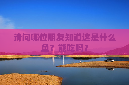请问哪位朋友知道这是什么鱼？能吃吗？