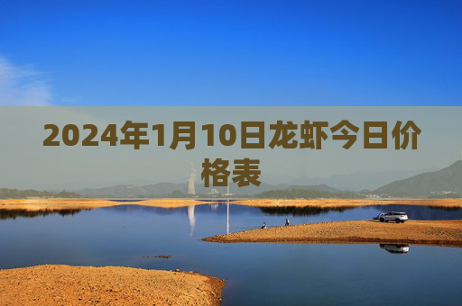 2024年1月10日龙虾今日价格表