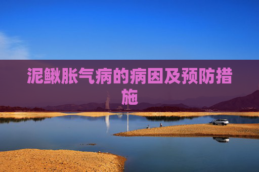 泥鳅胀气病的病因及预防措施