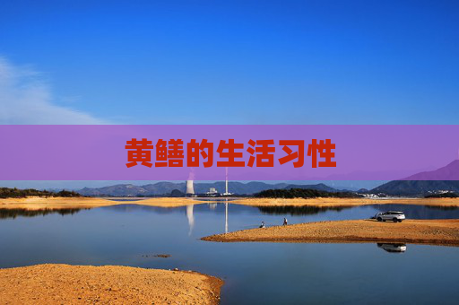 黄鳝的生活习性