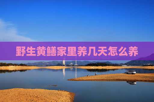 野生黄鳝家里养几天怎么养