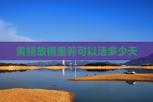 黄鳝放桶里养可以活多少天