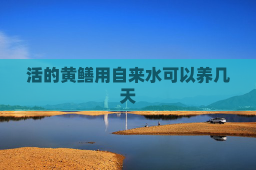 活的黄鳝用自来水可以养几天
