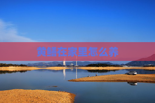 黄鳝在家里怎么养