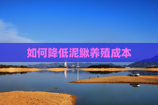 如何降低泥鳅养殖成本