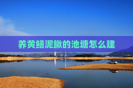 养黄鳝泥鳅的池塘怎么建