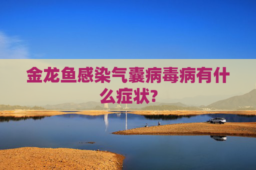 金龙鱼感染气囊病毒病有什么症状?