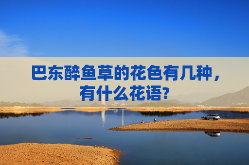 巴东醉鱼草的花色有几种，有什么花语?
