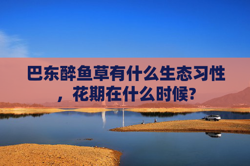 巴东醉鱼草有什么生态习性，花期在什么时候?