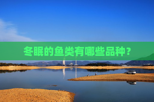 冬眠的鱼类有哪些品种？
