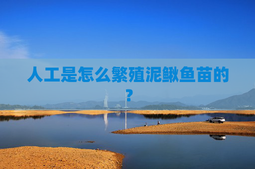 人工是怎么繁殖泥鳅鱼苗的？