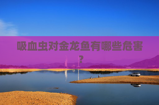 吸血虫对金龙鱼有哪些危害 ？