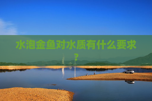 水泡金鱼对水质有什么要求?