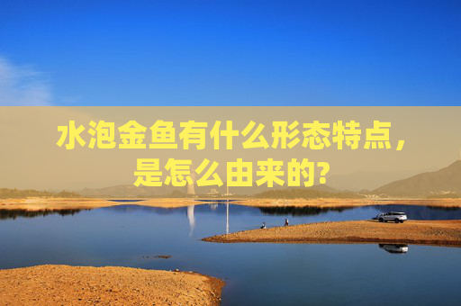 水泡金鱼有什么形态特点,是怎么由来的?