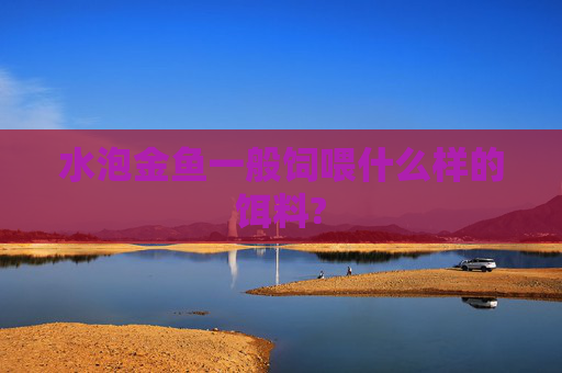 水泡金鱼一般饲喂什么样的饵料?
