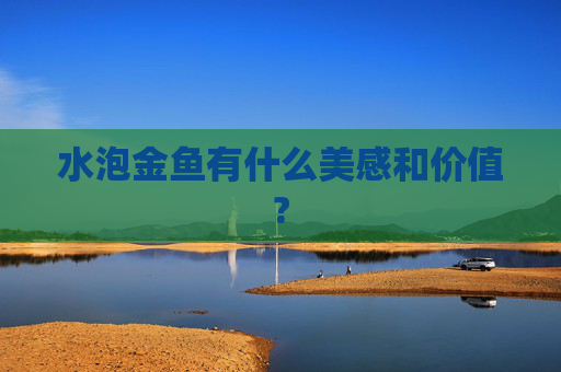 水泡金鱼有什么美感和价值?