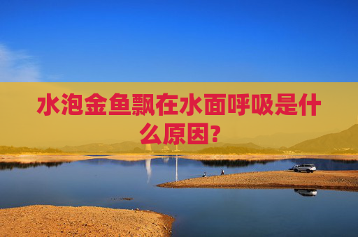 水泡金鱼飘在水面呼吸是什么原因?