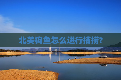 北美狗鱼怎么进行捕捞?