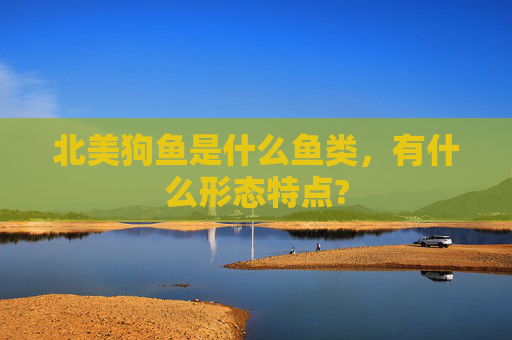 北美狗鱼是什么鱼类，有什么形态特点?