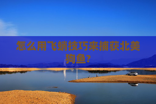 怎么用飞蛸技巧来捕获北美狗鱼?