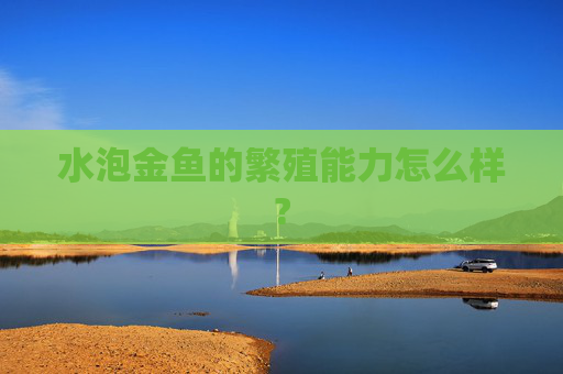 水泡金鱼的繁殖能力怎么样?