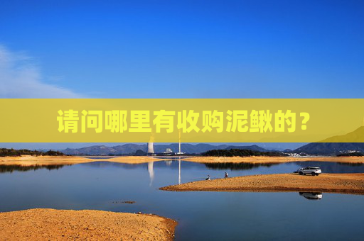 请问哪里有收购泥鳅的？