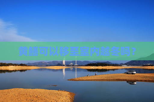 黄鳝可以移至室内越冬吗？