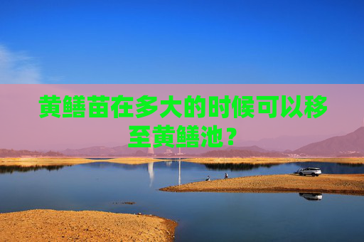 黄鳝苗在多大的时候可以移至黄鳝池？