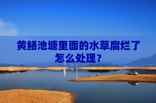 黄鳝池塘里面的水草腐烂了怎么处理?