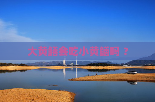 大黄鳝会吃小黄鳝吗 ？
