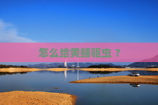 怎么给黄鳝驱虫 ？