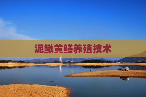 泥鳅黄鳝养殖技术